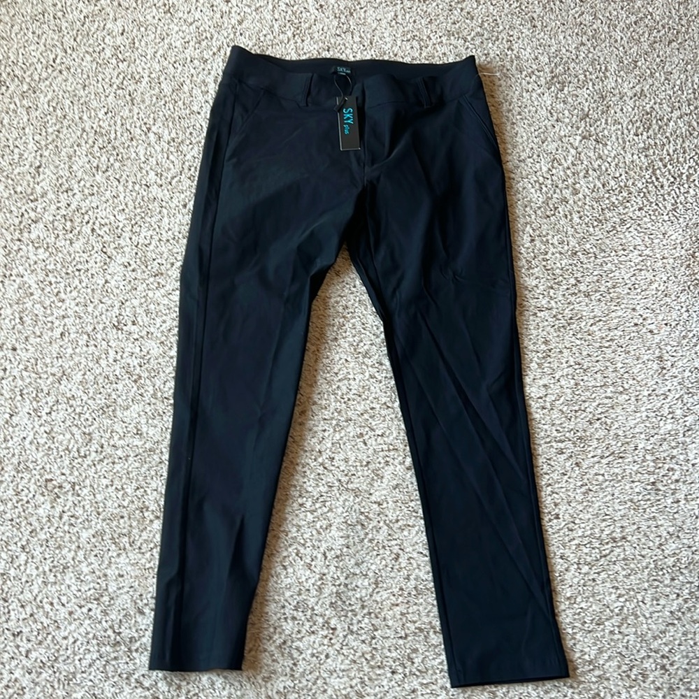 Dress pants